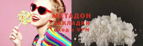 индика Алексин