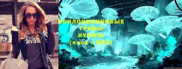 индика Алексин