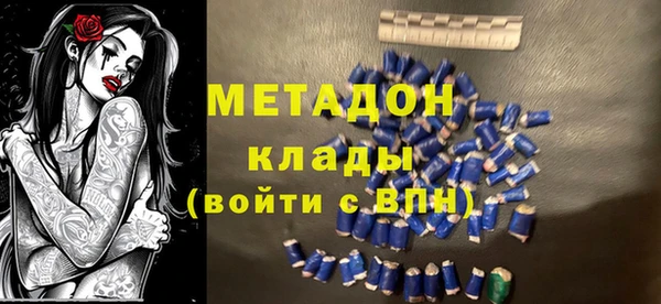индика Алексин