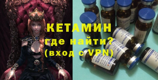 индика Алексин