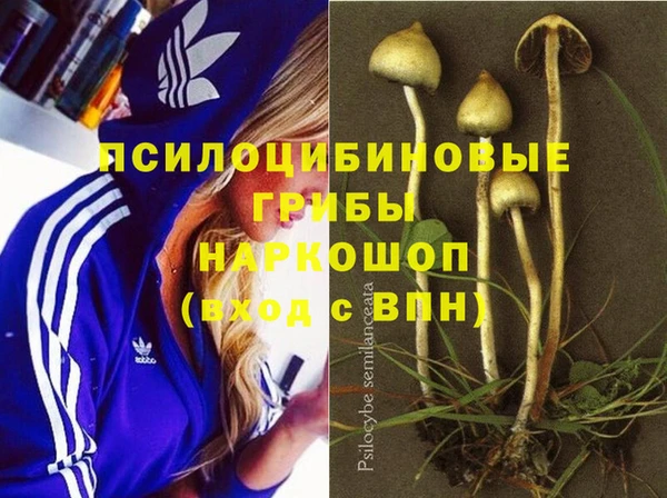 индика Алексин