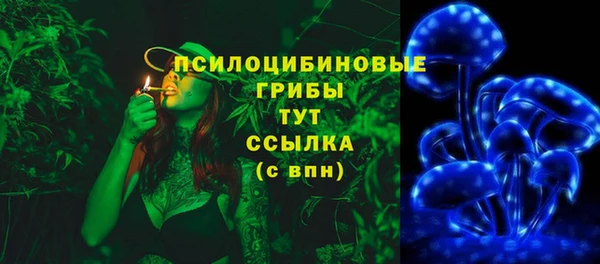 индика Алексин